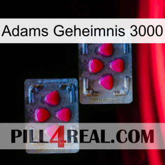 Adams Secret 3000 14